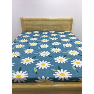drap 100% cotton  5 món đủ size 1m-1m8x2m