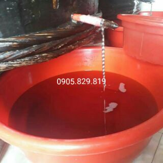 Nước Mắm Nhĩ - Phú Yên (1 lít)