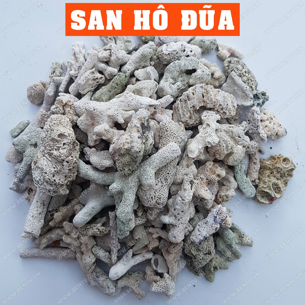 San Hô Lọc Nước Tăng PH Cho Bể Cá Cảnh (1Kg)