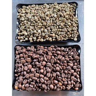 Cà phê ROBUSTA rang xay nguyên chất Daklak