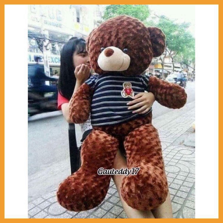 Thú Nhồi Bông  Gấu Bông To Teddy Lông Xù Cao Cấp, Vải Nhung Hàn Quốc Mềm Mịn Kích Thước 95cm  1m1