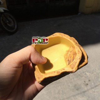 Bát ăn cho bò sát