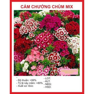 Combo Hạt Giống 200K