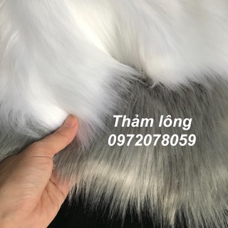 RẺ VÔ ĐỊCH  Thảm lông dài chụp ảnh trải bàn phấn xám tro trắng hồ ly