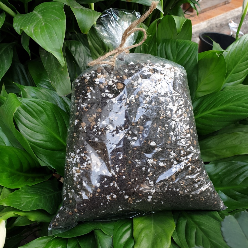 Đất trồng sen đá, xương rồng 1kg 🔥FREE SHIP🔥 siêu phẩm trồng sen đá, xương rồng