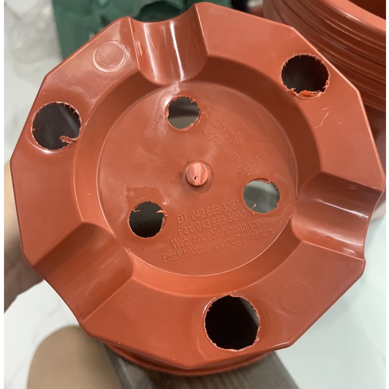 Chậu nhựa trồng ươm cây hoa E230- 10 cái màu nâu hàng loại 1 dày đẹp KT 19x15cm