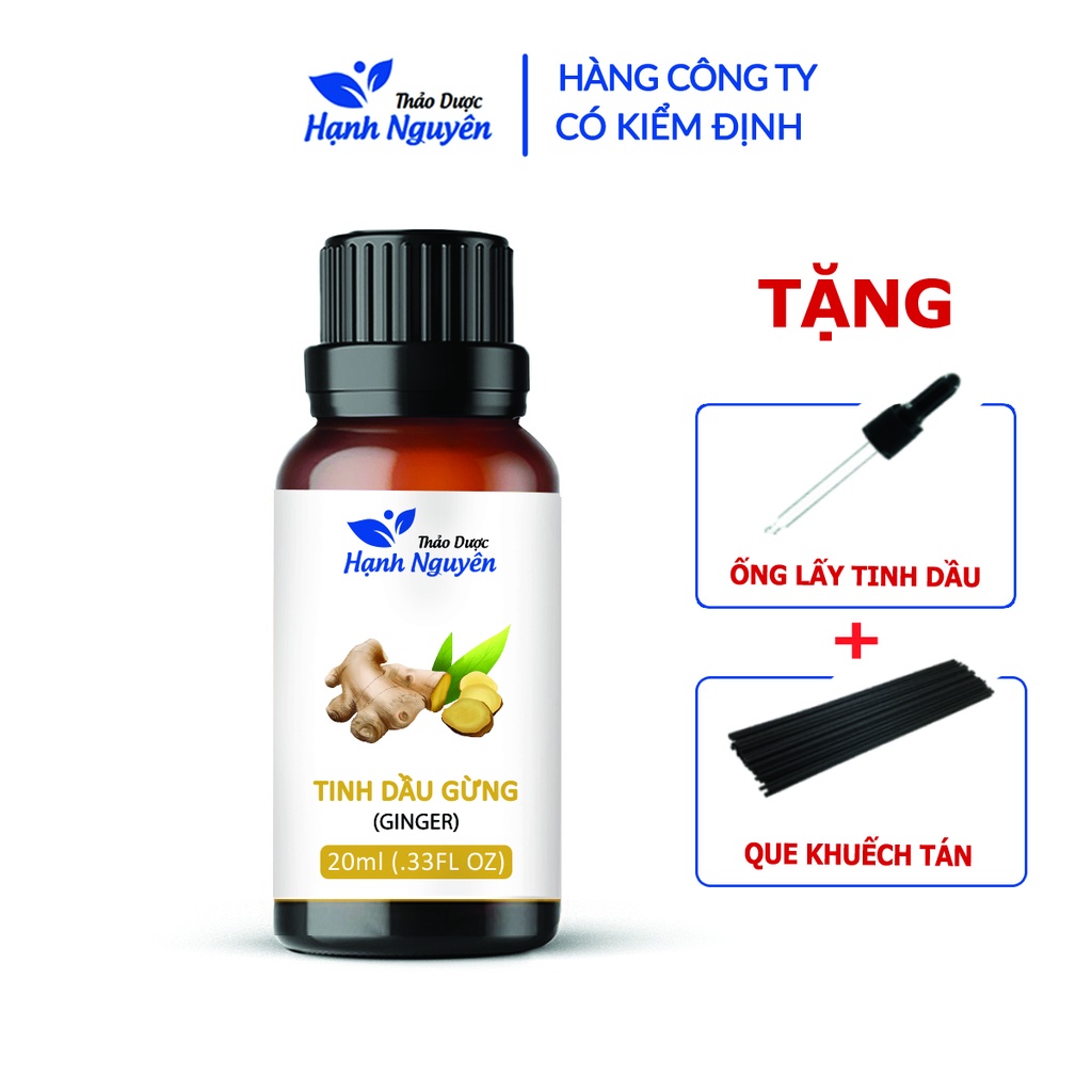 Tinh dầu Gừng 20ml, massage giảm mỡ bụng, đùi, bắp tay, bắp chân hiệu quả - Thảo dược Hạnh Nguyên