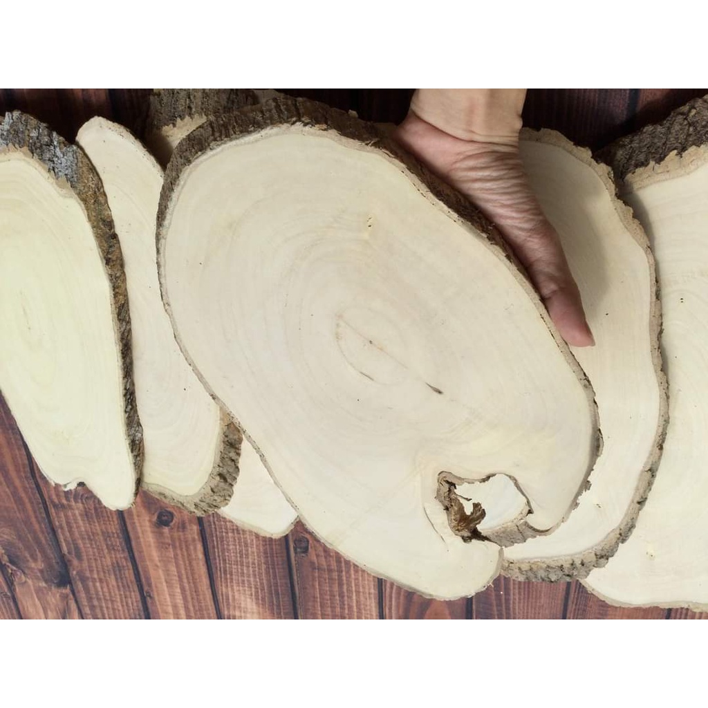 LÁT GỖ Decor trang trí 16cm - 30 cm GIÁ TỪ 18k