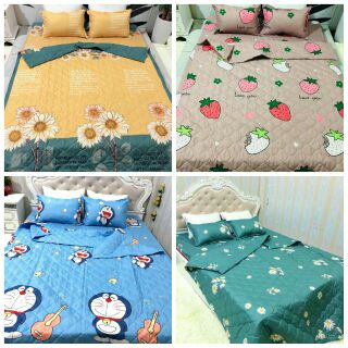 Set chăn ga gối poly cotton ( chăn chần )