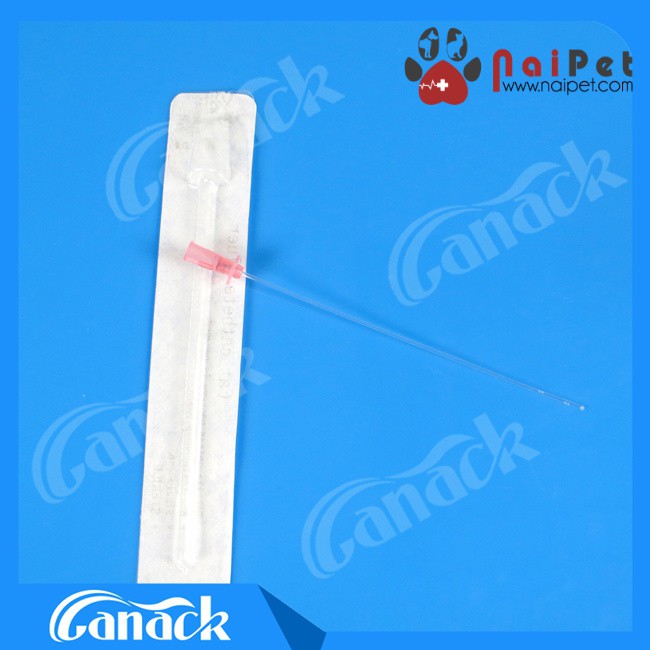 Ống Thông Tiểu Cho Mèo Cat Catheters DCPT003