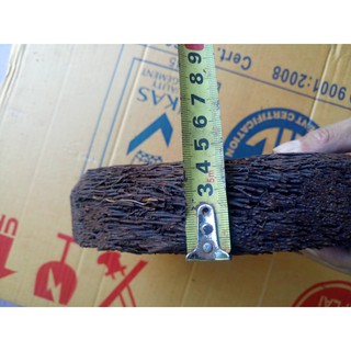 Chậu dớn trồng lan (dớn đĩa)