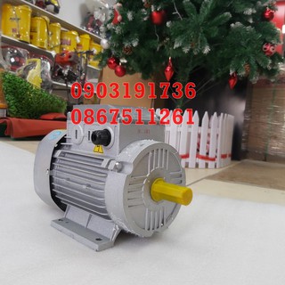 Động cơ điện 2HP Toàn Phát- Motor toàn phát 1,5kw chất lượng cao.