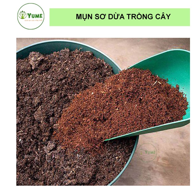 Mụn xơ dừa trồng cây giúp đất tơi xốp giữ ẩm cao túi 20x30cm