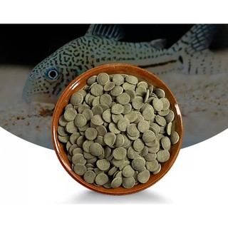 Thức ăn cá chuột , pleco