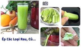 Máy ép trái cây SAVTM JE-08