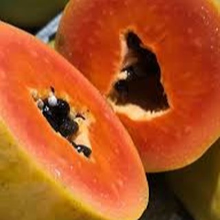 5 HẠT GIỐNG ĐU ĐỦ RUỘT ĐỎ