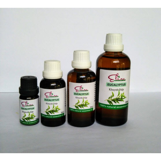 TINH DẦU KHUYNH DIỆP NGUYÊN CHẤT -  Eucalytups essential oil