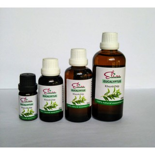 𝗧𝗶𝗻𝗵 𝗱𝗮̂̀𝘂 𝗞𝗵𝘂𝘆𝗻𝗵 𝗗𝗶𝗲̣̂𝗽 - Eucalyptus essential oil