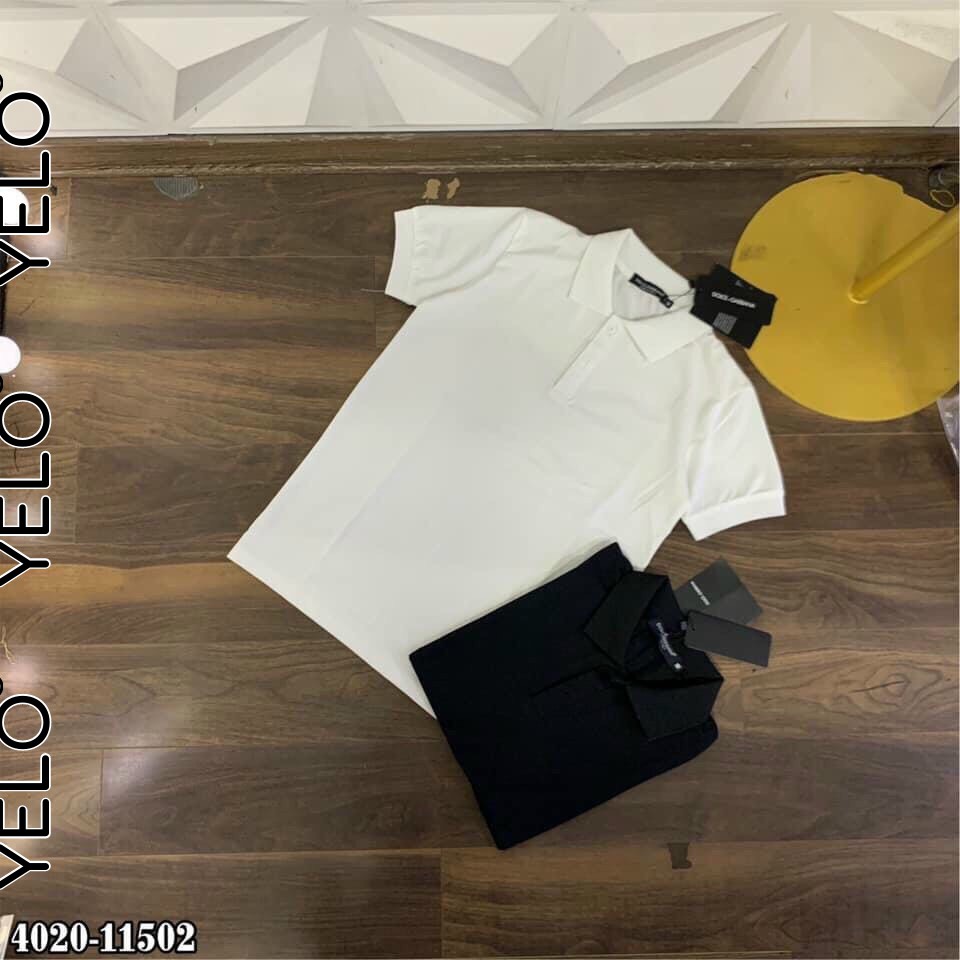 Áo Phông Polo Nam 2021 Ôm Body Màu Trơn Chất Thun Cá Sấu Siêu Bền Mạnh Mẽ Bản Lĩnh YOLO- AC83 | BigBuy360 - bigbuy360.vn