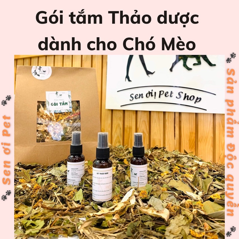 Gói tắm Thảo dược chó mèo