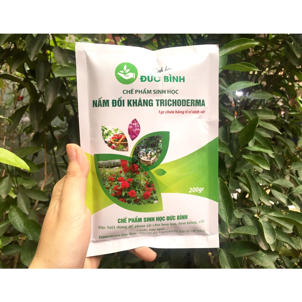 Nấm Đối Kháng Trichoderma Phòng Trừ Nấm Cho Cây Trồng