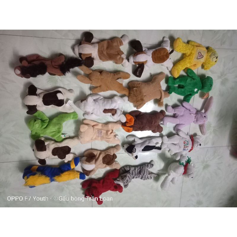 Gấu bông có hạt nhựa bên trong