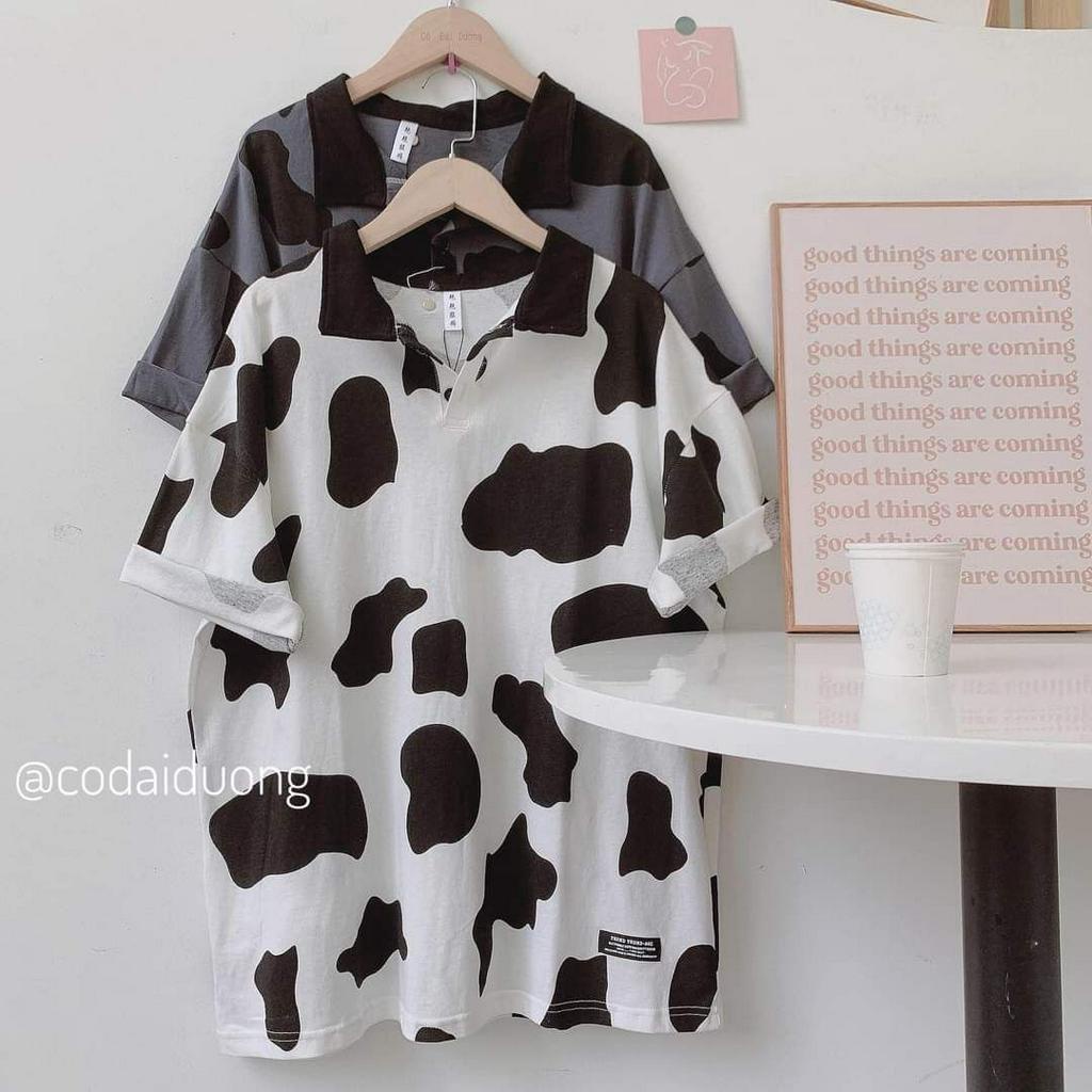 Áo phông bò sữa cổ bẻ fom rộng nhiều màu
