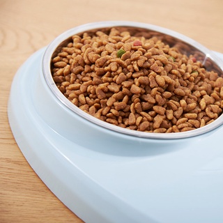 Bát Ăn Chó Mèo Hình Oval (màu ngẫu nhiên)