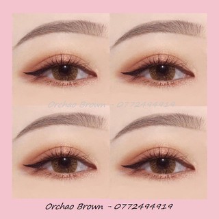 Combo khay 3 cặp lens ( tặng kèm 1 cặp lens không độ - inbox chọn màu)