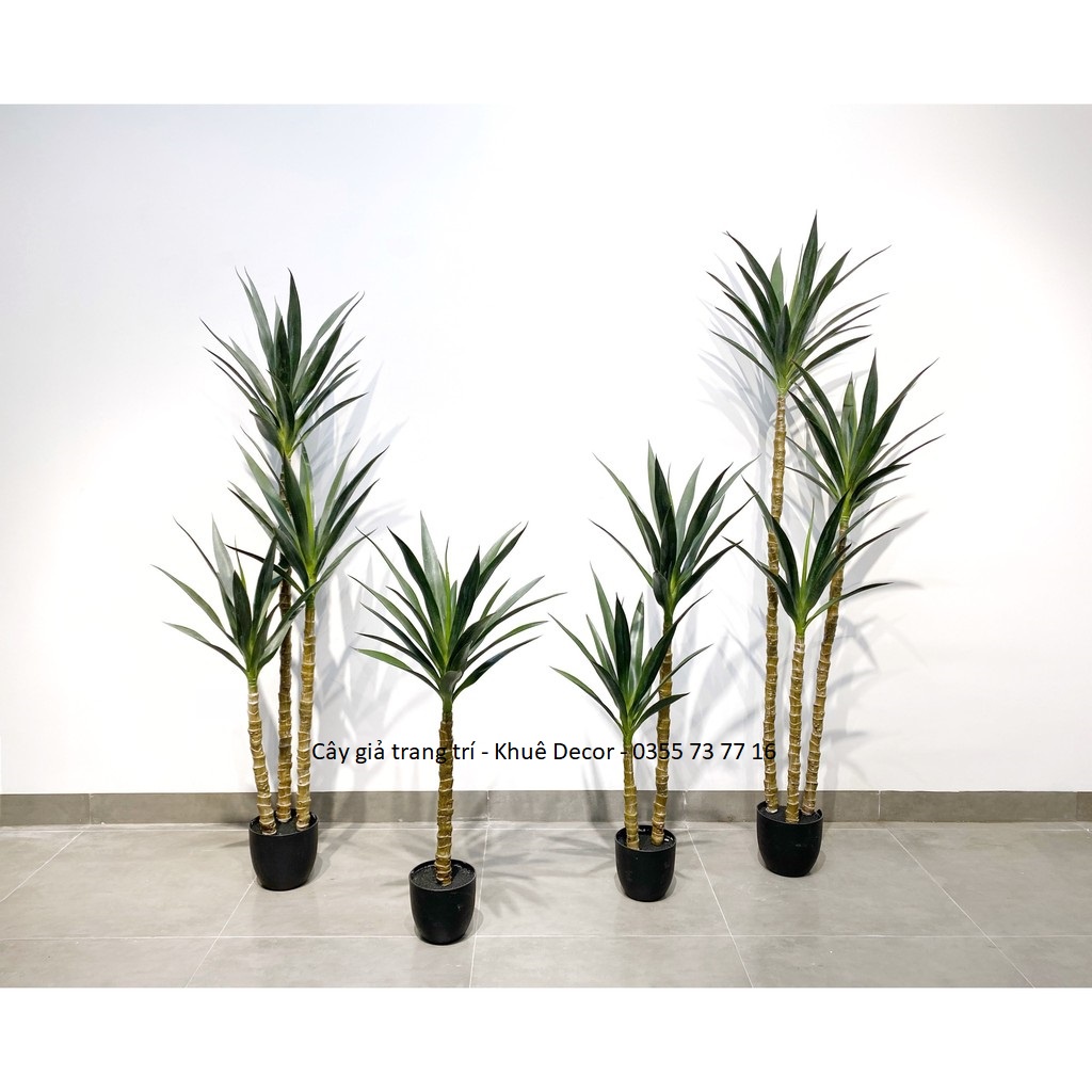 Cây Phát Tài Núi - Cây Giả - Hàng Chuẩn cao cấp