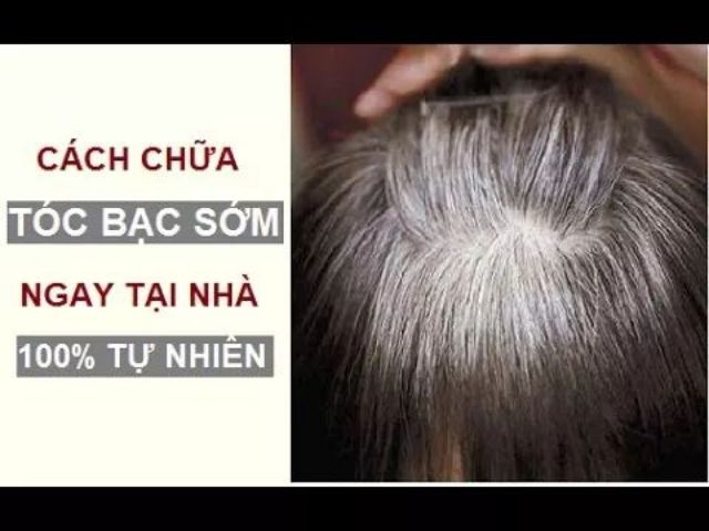 Hà thủ ô chùm ngây Cầu Bình An