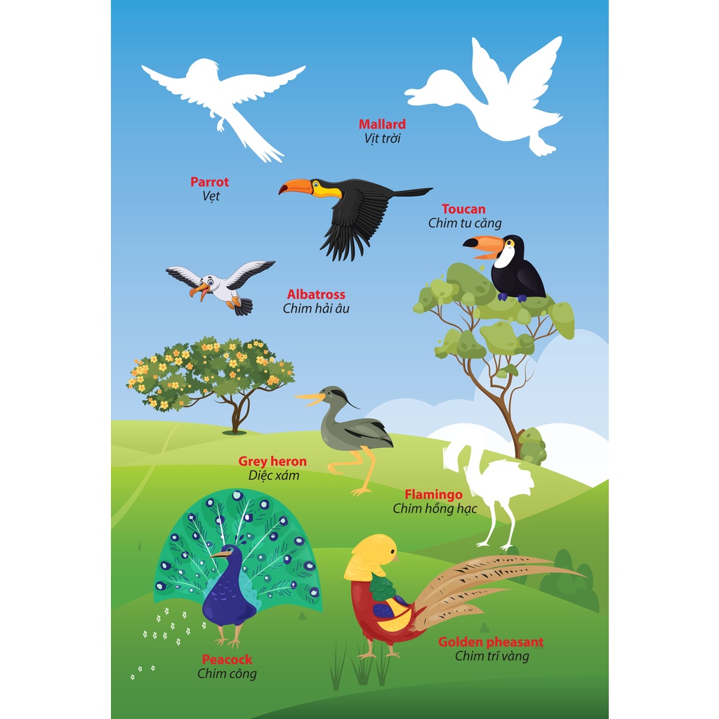 Sách - Stickers for kids quyển 2 - Song ngữ Anh - Việt - Thế giới động vật