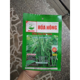 Hạt giống đậu cove lùn
