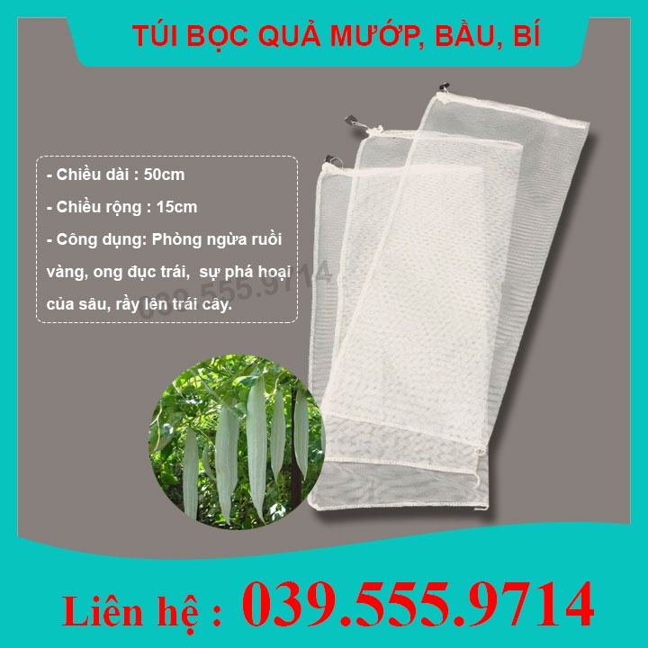 50 TÚI BỌC TRÁI CÂY  BẦU BÍ MƯỚP ... ( Kích thước 50x15cm) giúp bảo vệ quả ảnh hưởng mưa gió và côn trùng