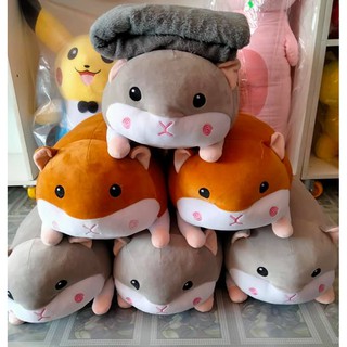 Gấu Bông Chuột Hamter Có Mền 50Cm, Siêu Dể Thương, Đáng Yêu và Mềm Mịn Tla Thi Shop