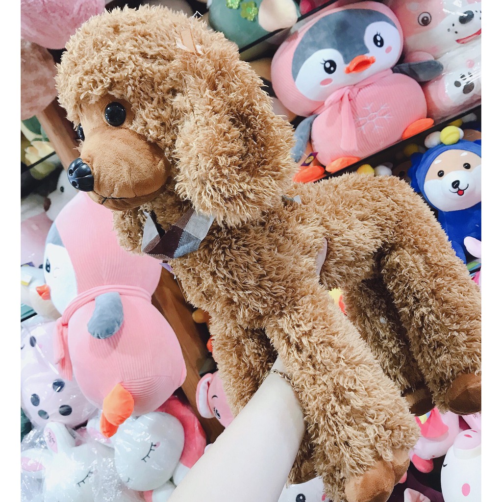 Gấu bông chó poodle lông xù kích thước 40-50-60cm