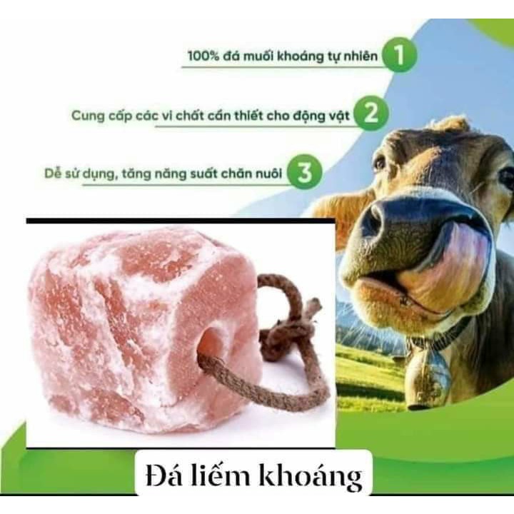 Đá muối liếm QAISAR cho động vật - Tăng đề kháng, bổ sung khoáng chất cho vật nuôi