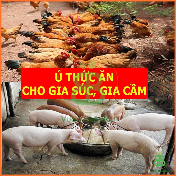 Chế Phẩm EM Gốc Ủ Rác Hữu Cơ 1 Lít