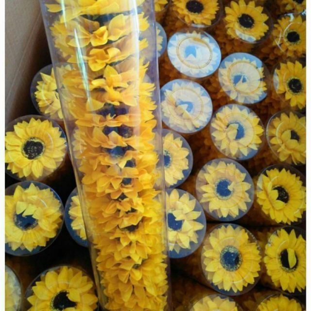 Lốc hướng dương 25 bông