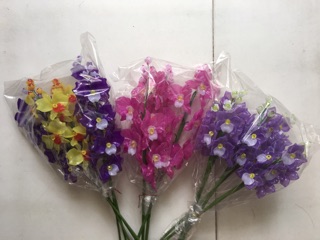 Cành hoa lan 60cm 8 bông