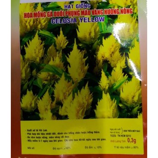 HẠT HOA MỒNG GÀ ĐUÔI PHỤNG VÀNG - GÓI 0,3 GRAM