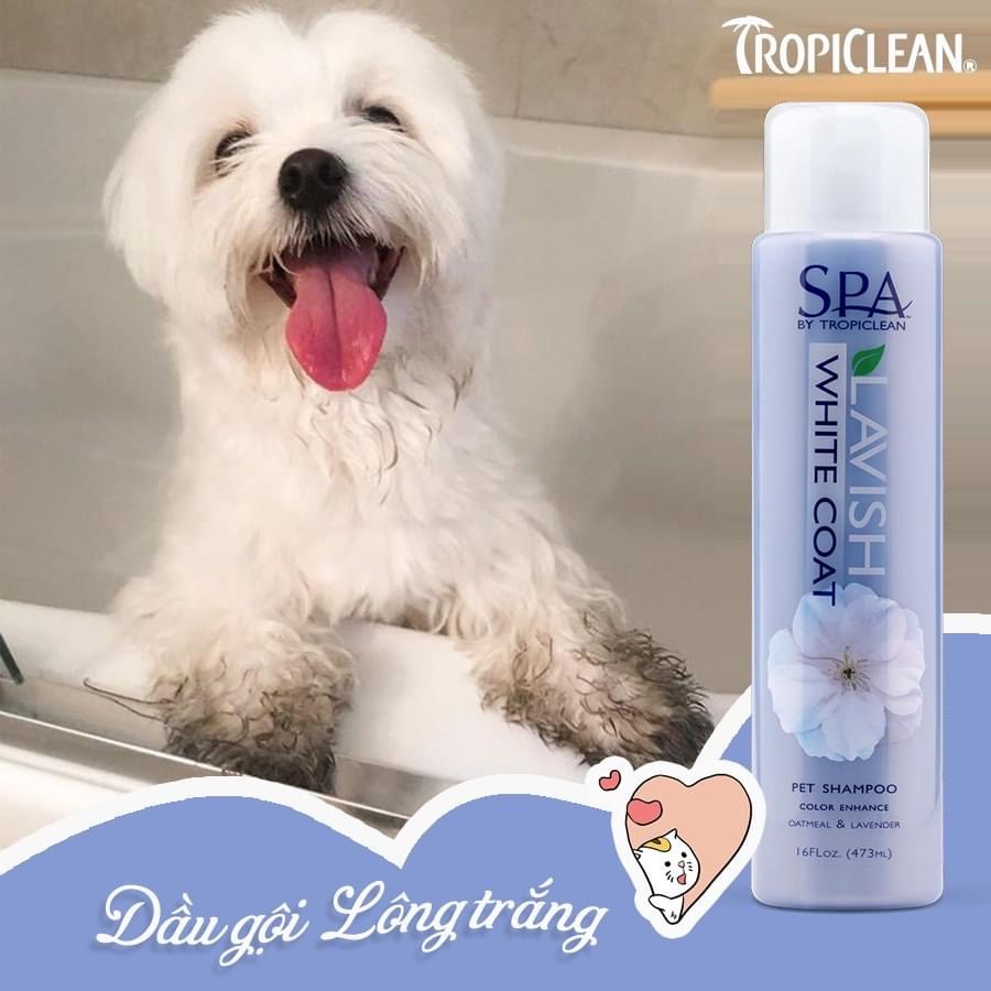 TROPICLEAN - SỮA TẮM DƯỠNG LÔNG TRẮNG CHO THÚ CƯNG - DẦU GỘI THÚ CƯNG LÔNG TRẮNG Spa White Coat Shampoo