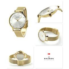 [GIÁ HỦY DIỆT - Chính Hãng - Free ship - Không ưng hoàn tiền] Đồng hồ nữ Skagen Skw2150 dây thép lưới 3 kim, BESTPRICE