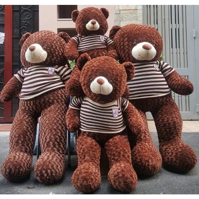 Gấu Bông Teddy to Thú Nhồi Bông Khổng Lồ Lông Xù Gối Ôm Vải Nhung Co Dãn 4 Chiều Chất Liệu Vải Nhung Hàn Quốc MLT09