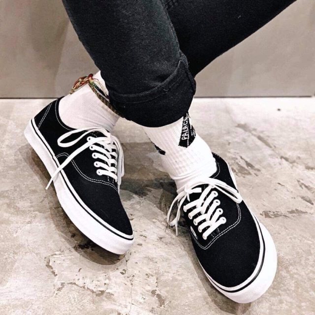 vans basic