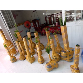 Combo 5 mai con quấn rễ 45 cm