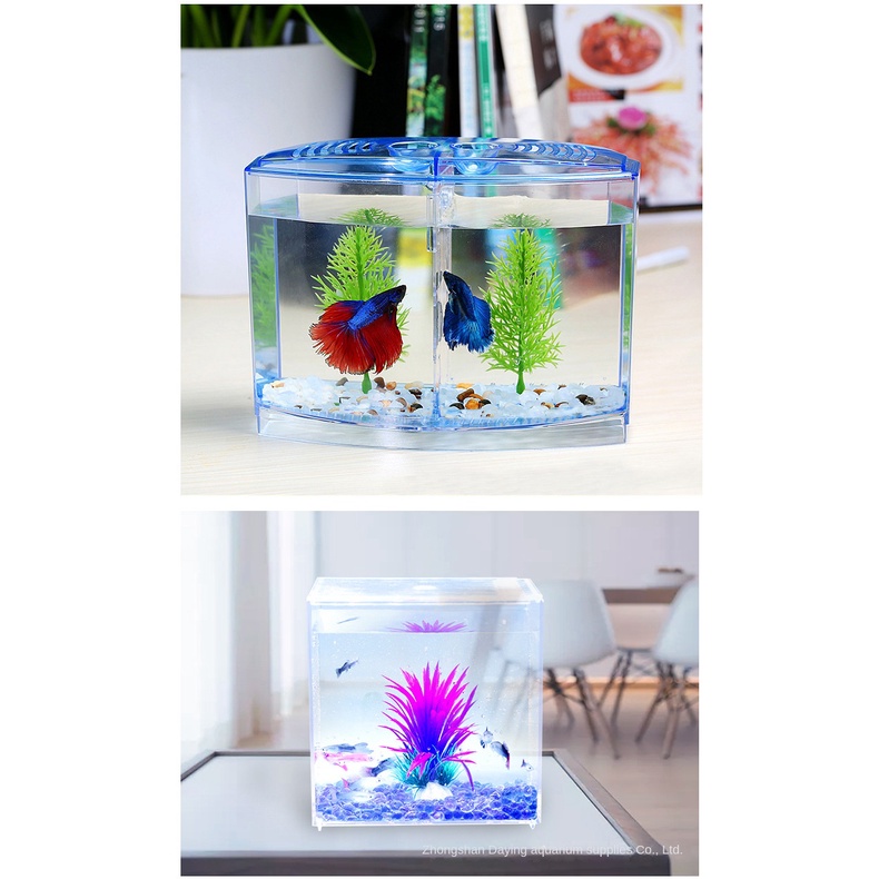 Hộp Nuôi Cá Cách Ly Đa Năng Tiện Lợi