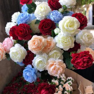 HOA LỤA CHO NGÀY TẾT