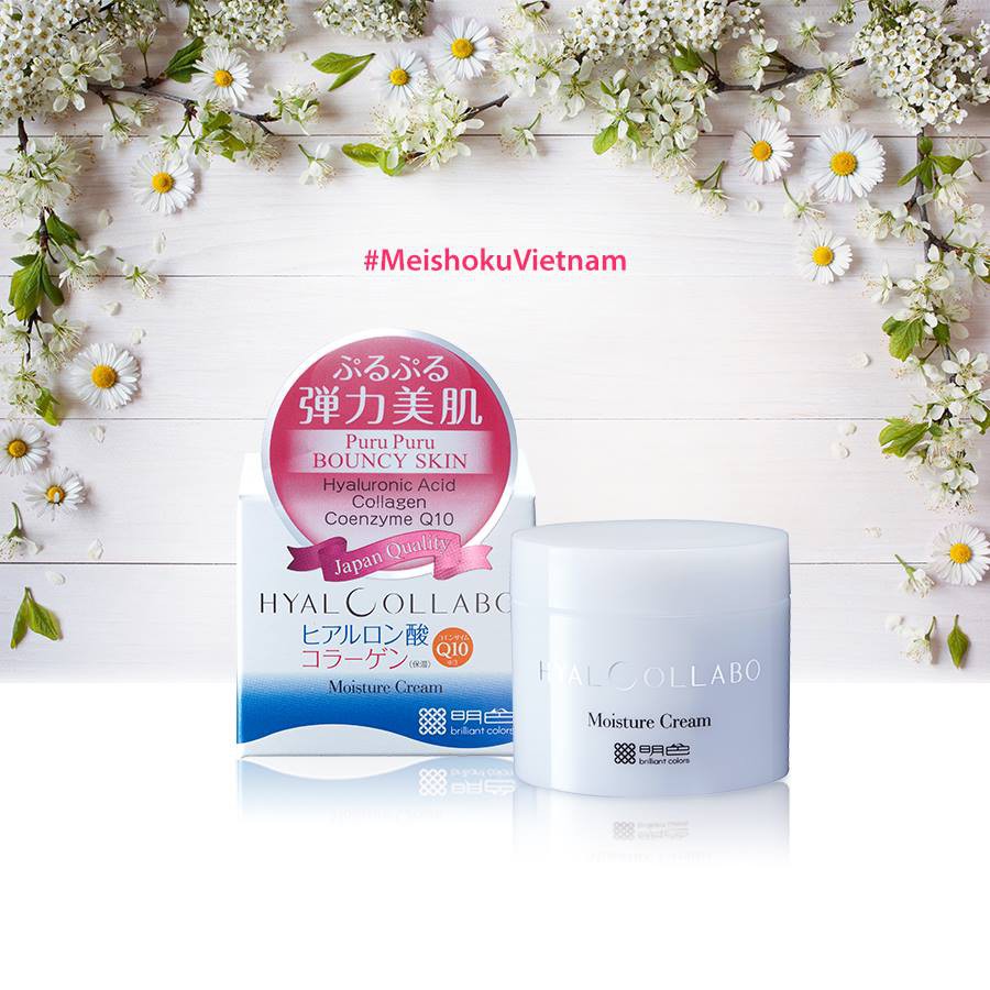 Kem dưỡng Hyalcollabo emollient Meishoku (48g)