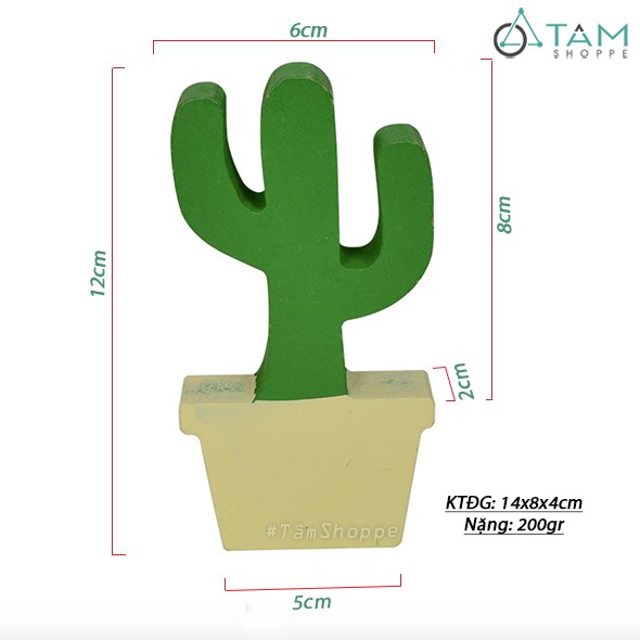 Chậu hoa nhỏ để bàn xương rồng gỗ W-CHĐB-101 TTTM